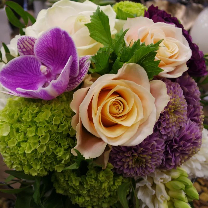 Wedding planning & Decor